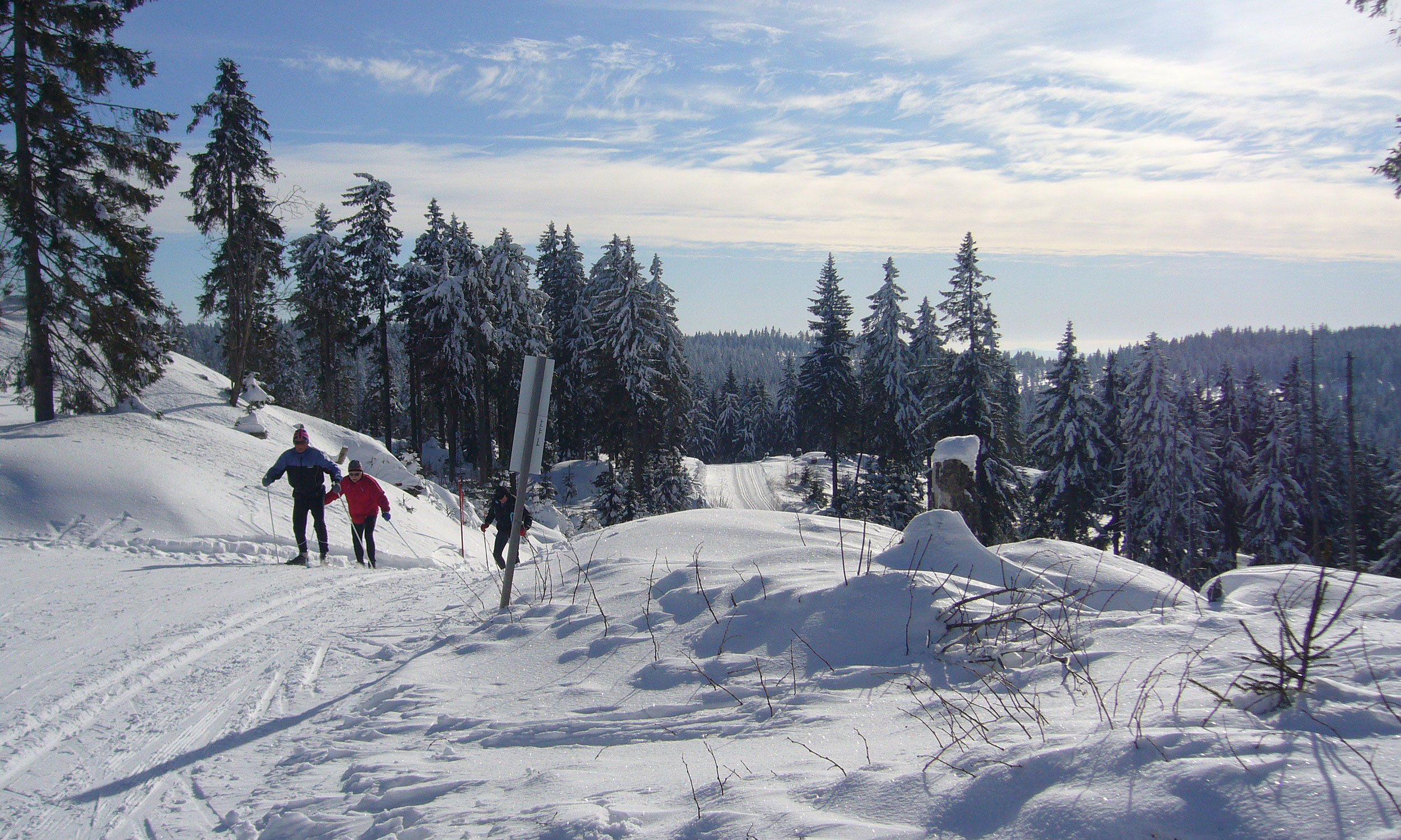 Lusen Wandern - Ausflugstipps für Groß und Klein - Die schönsten Wander ...